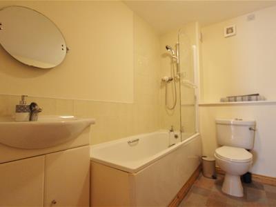 Picture 7